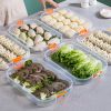 1pc Refrigerator Dumpling Storage Box; Frozen Dumplings Multi-layer; Household Large Capacity Dumpling Box Multifunctional 11.8in/8in - One-layer